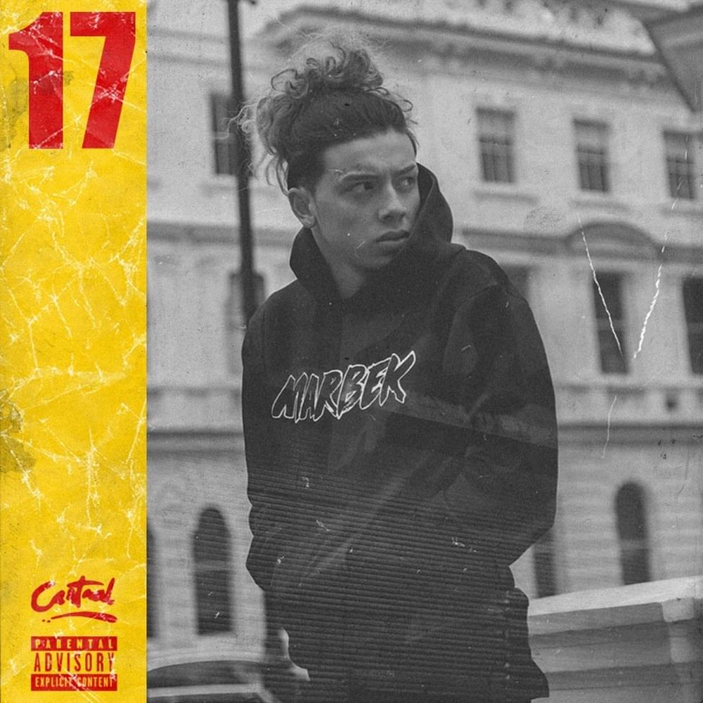 Cover image for 17 