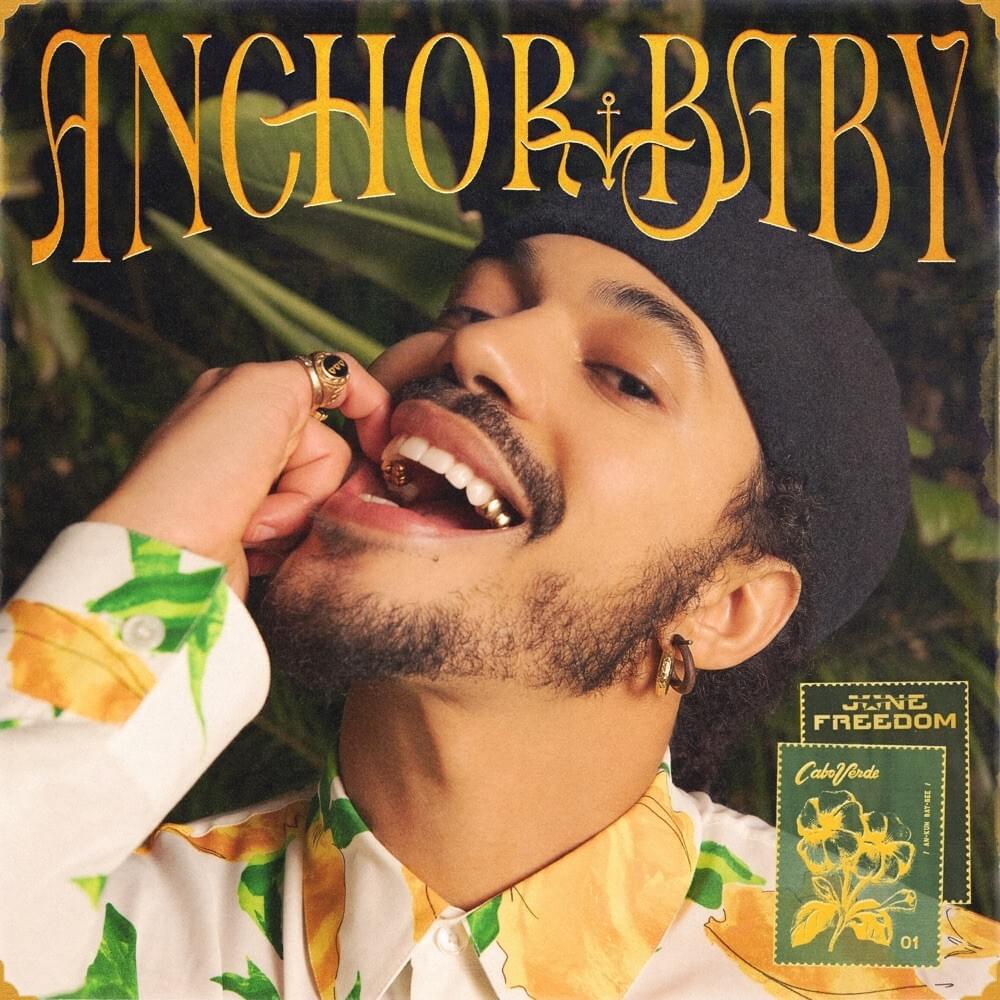 Cover image for Anchor Baby