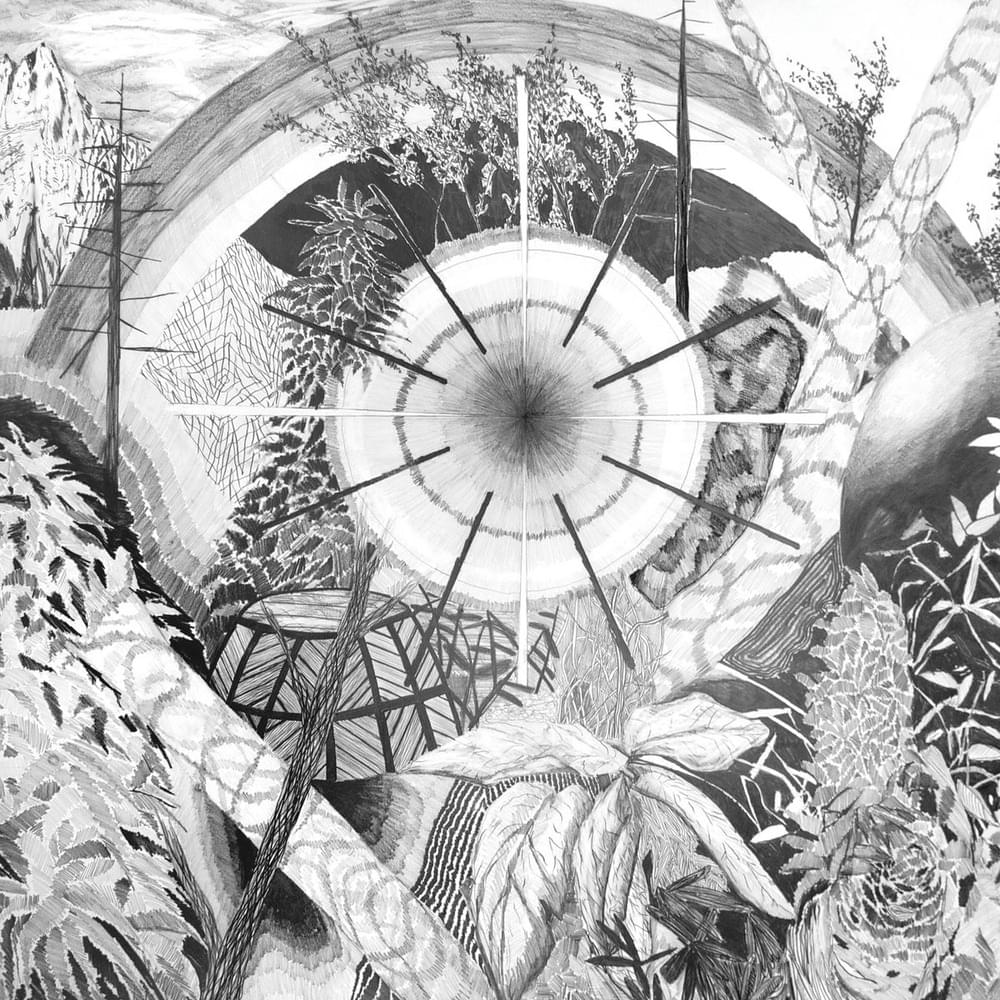 Album cover art for "Voice In The Mirror" by Osees