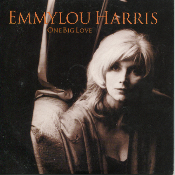 Cover image for One Big Love