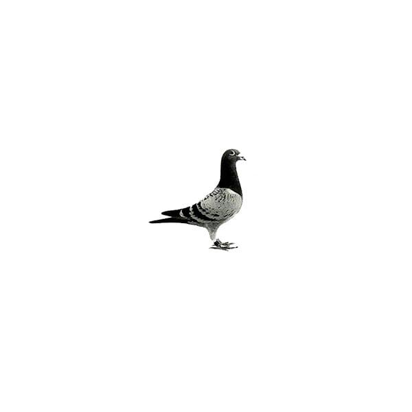 Album cover art for "London (Genuine Piano Mix)" by Pet Shop Boys
