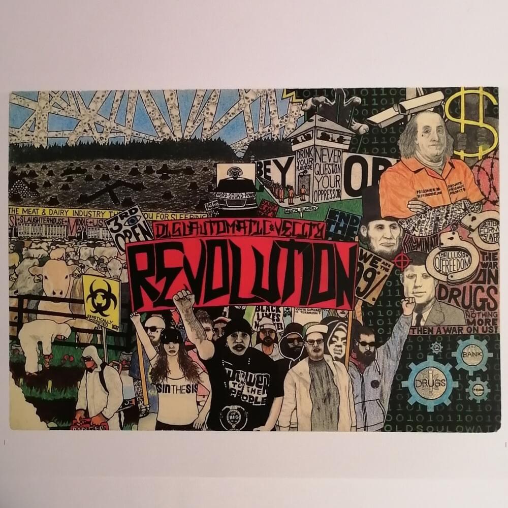 Cover image for Revolution
