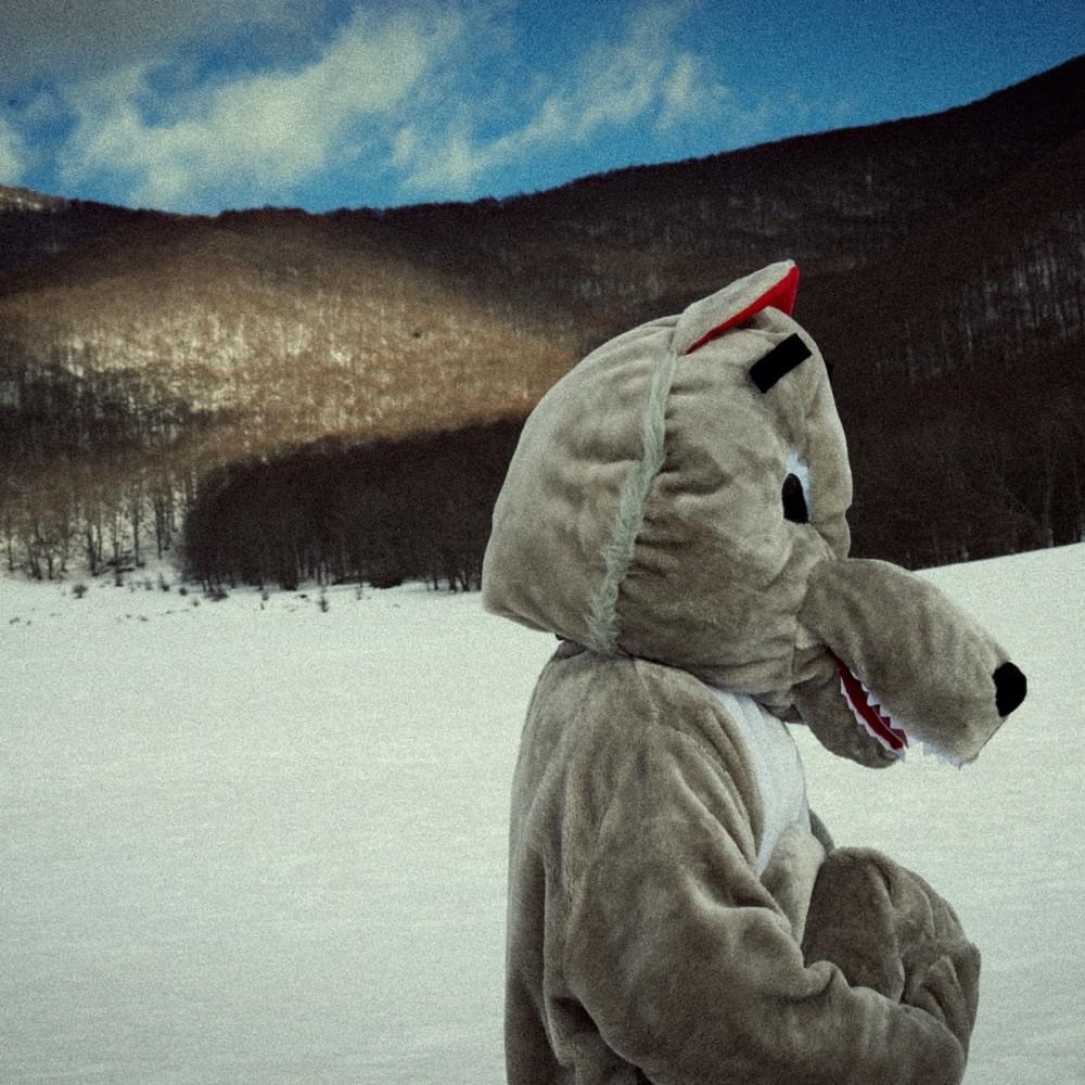 Album cover art for "Come un animale" by Fast Animals and Slow Kids
