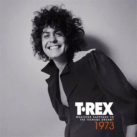 Cover image for 1973 (Whatever Happened To The Teenage Dream?)