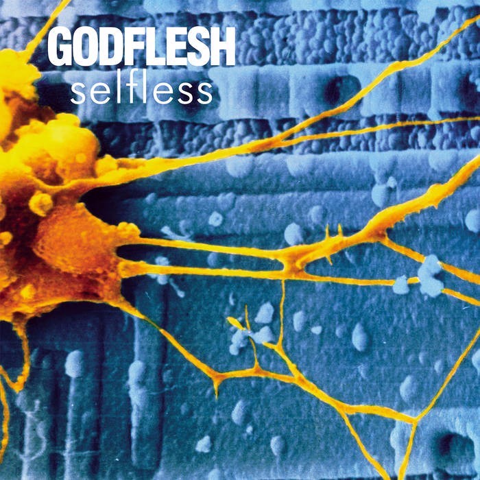 Go Spread Your Wings by Godflesh