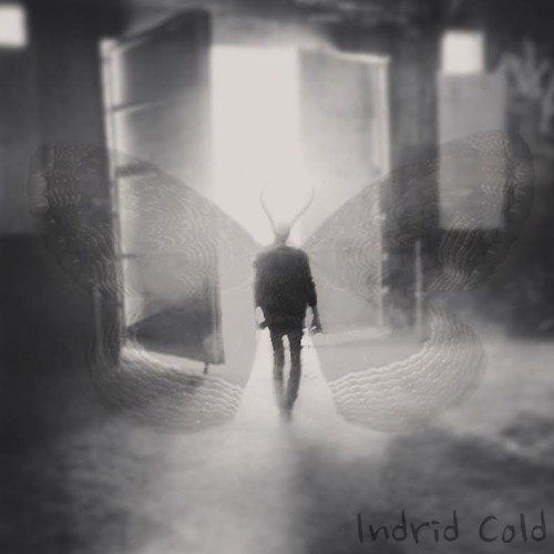 Cover image for Indrid Cold
