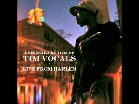 Bust My Guns by Tim Vocals