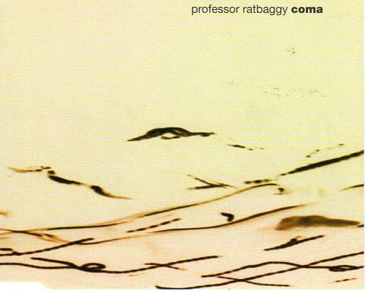 Coma by Professor Ratbaggy