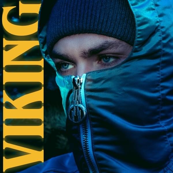 Album cover art for "Viking" by Rémy