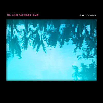 Album cover art for "The Oaks" by Gaz Coombes