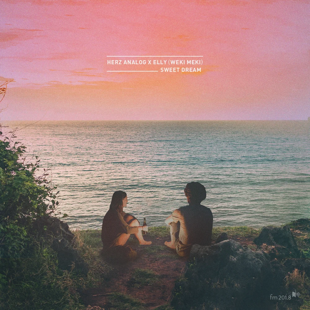 Album cover art for "Sweet Dream" by Herz Analog
