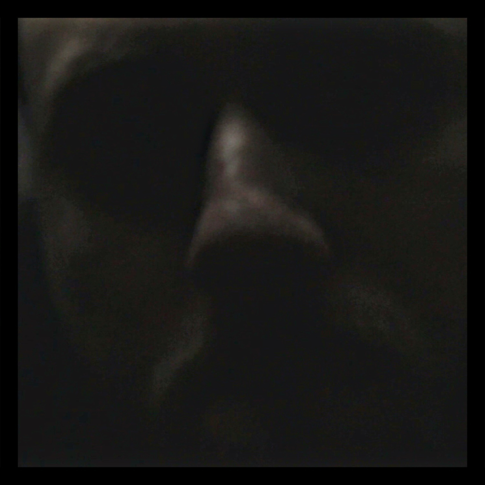Album cover art for "Genug ist Genug" by Skeez