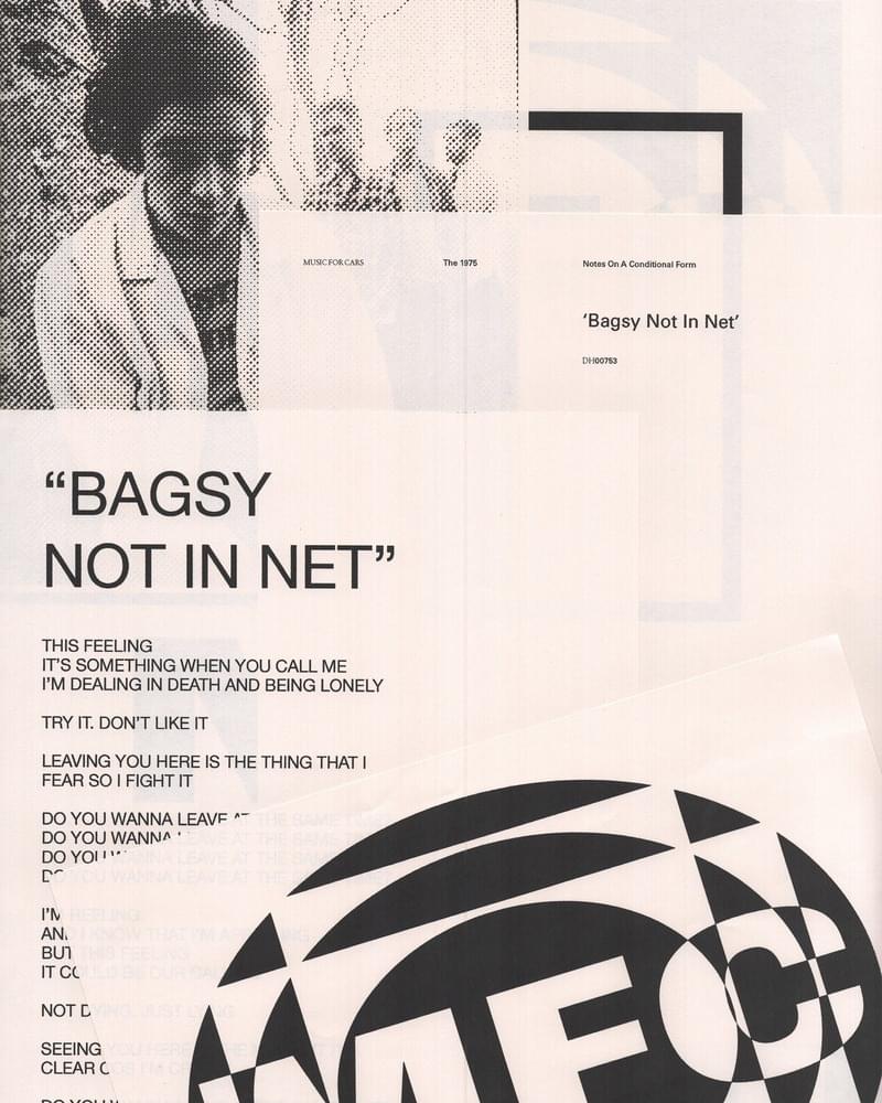 Album cover art for "Bagsy Not in Net" by The 1975