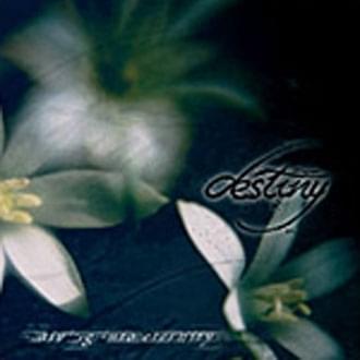 Reinventing The Feeling I Almost Unlearned To Feel by The Destiny Program