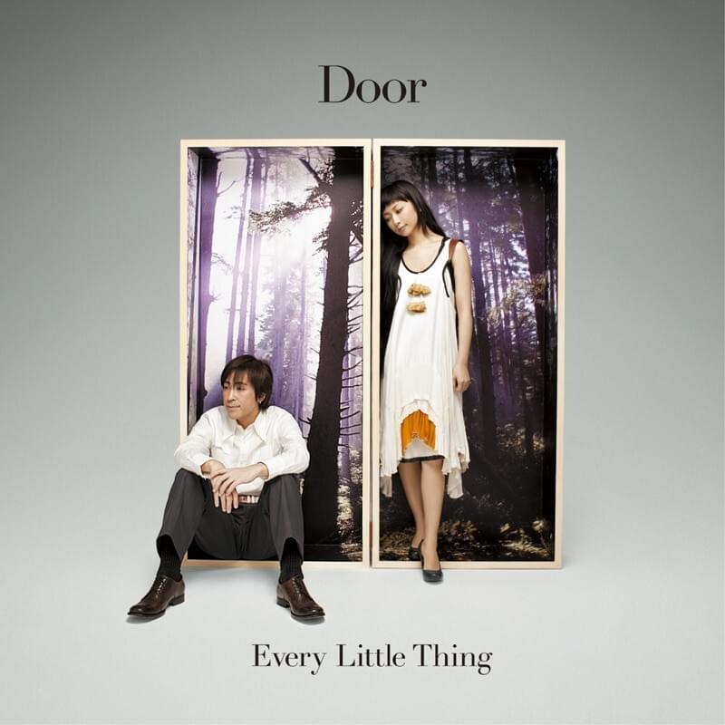 Cover image for Door