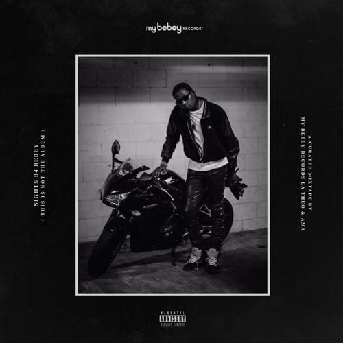 Cover image for NIGHTS B4 BEBEY