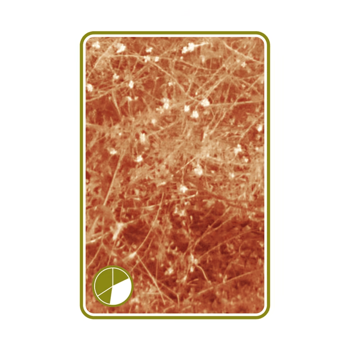 Album cover art for "#5 (Grass)" by Aphex Twin