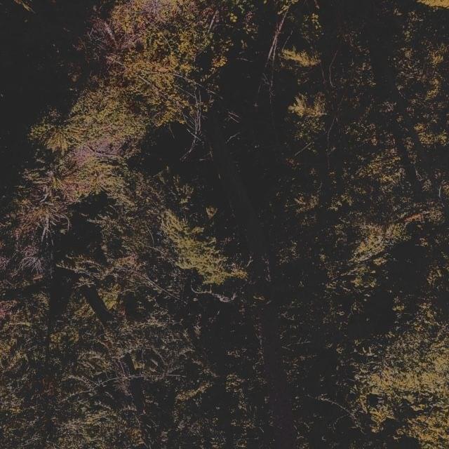 Album cover art for "that yee" by Izaya Tiji