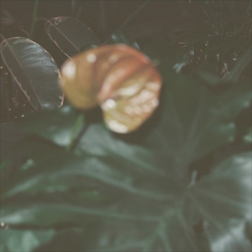 Album cover art for "JUNE 12TH" by Blood Orange