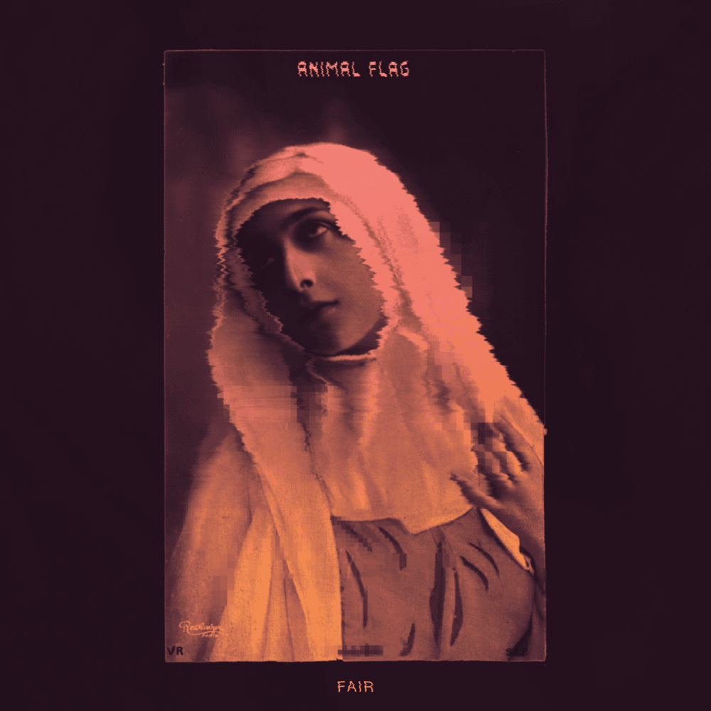 Album cover art for "Fair" by Animal Flag