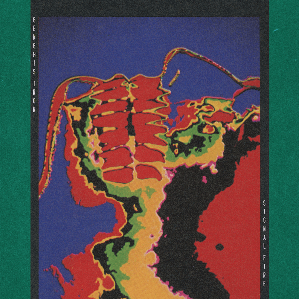 Cover image for Signal Fire