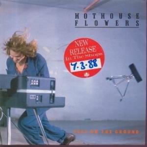 Hard Rain by Hothouse Flowers
