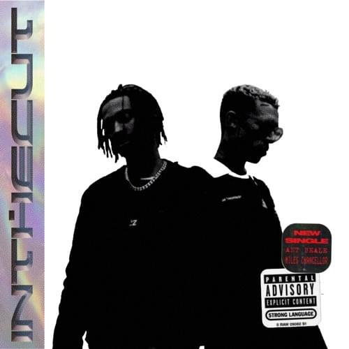 Album cover art for "In The Cut" by Ant Beale