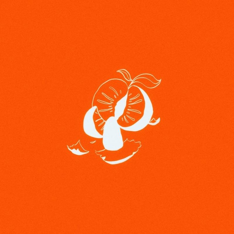 Oranges by Andrea Turk