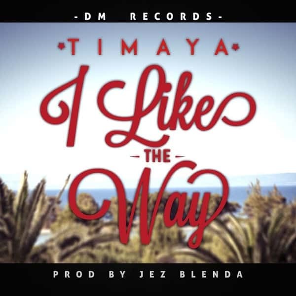 I Like The Way by Timaya