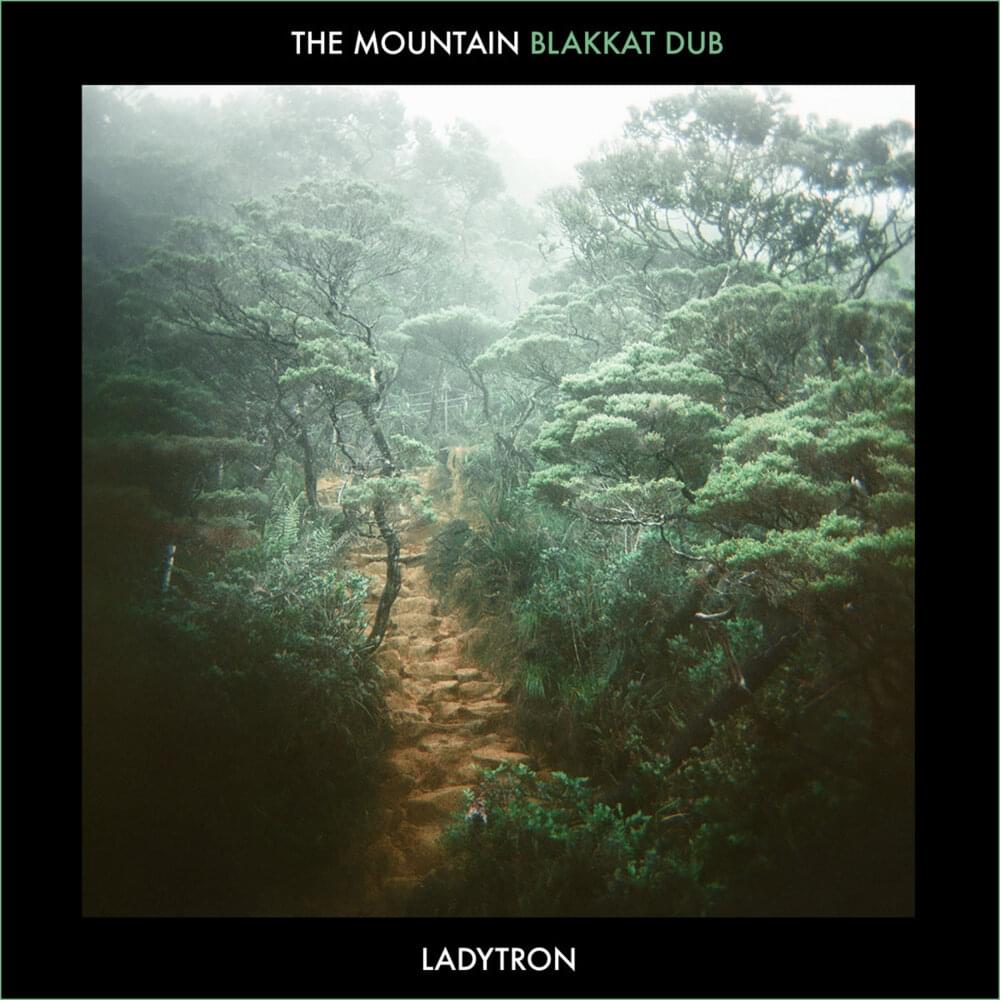 Album cover art for "The Mountain (Blakkat Dub)" by Ladytron
