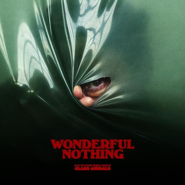 Album cover art for "Wonderful Nothing" by Glass Animals