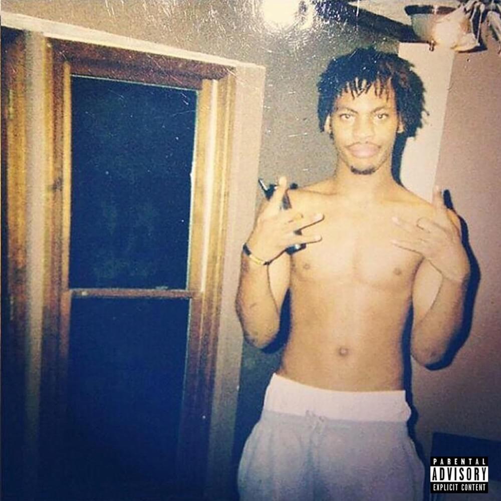 Cover image for Big Homie Flocka
