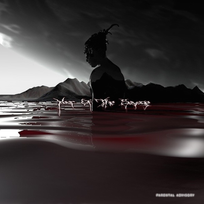 Album cover art for "Buku" by Robb Bank$