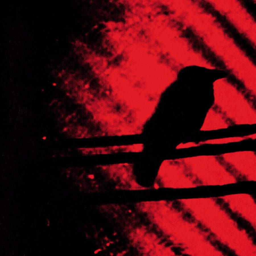 Cover image for Born into Trouble as the Sparks Fly Upward