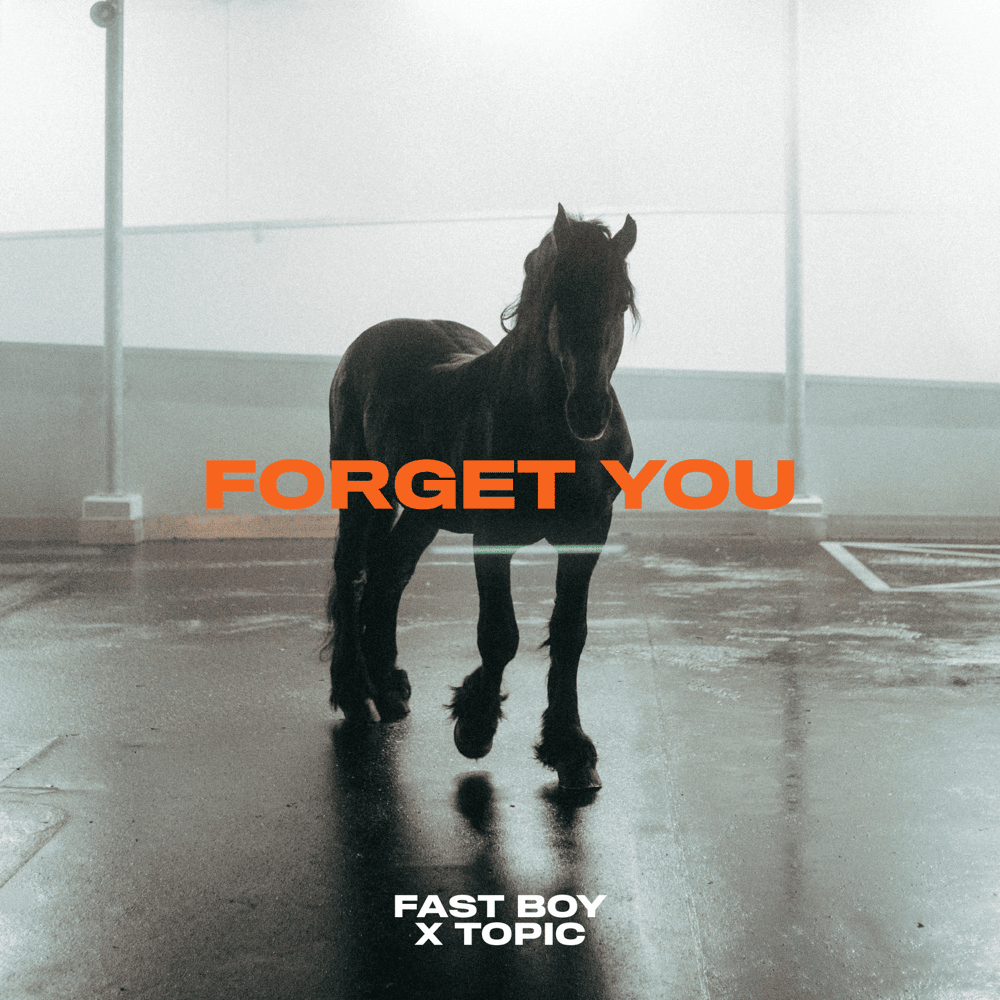 Forget You by FAST BOY