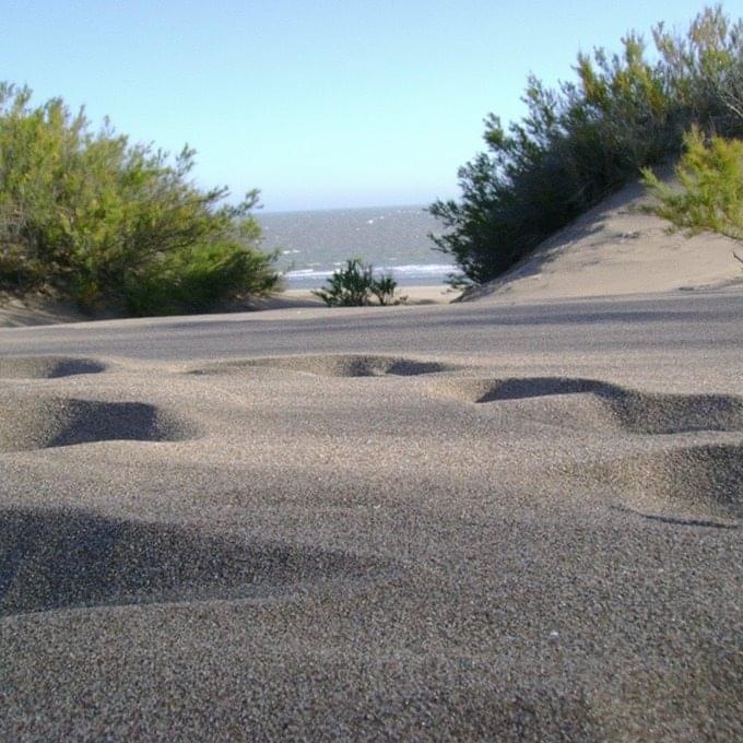 Album cover art for "Bienvenida" by Stu26