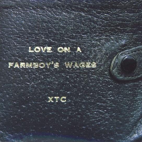 Album cover art for "Toys" by XTC