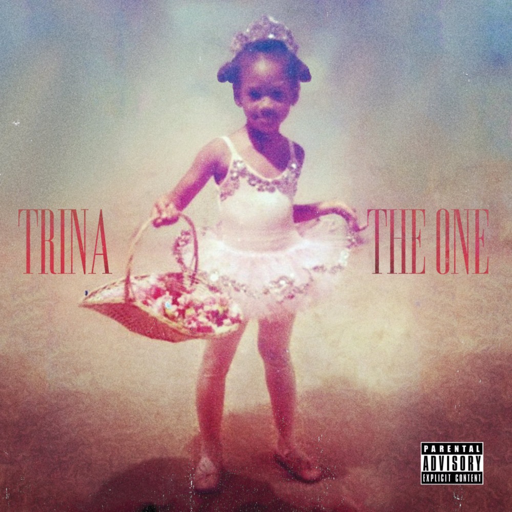Cover image for The One