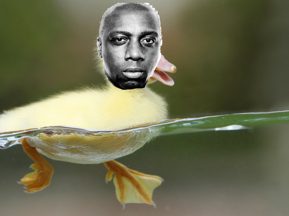 Photo of InspectahDuck