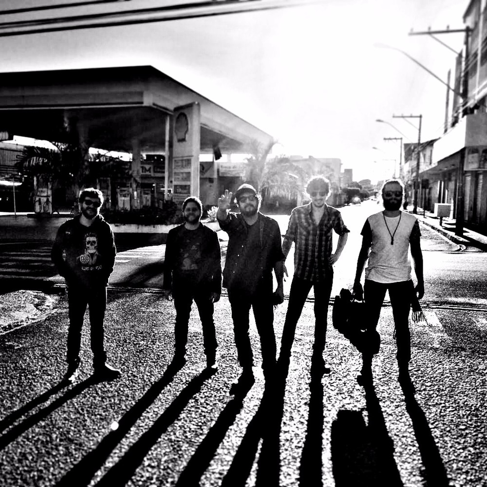 Cover image for Suricato