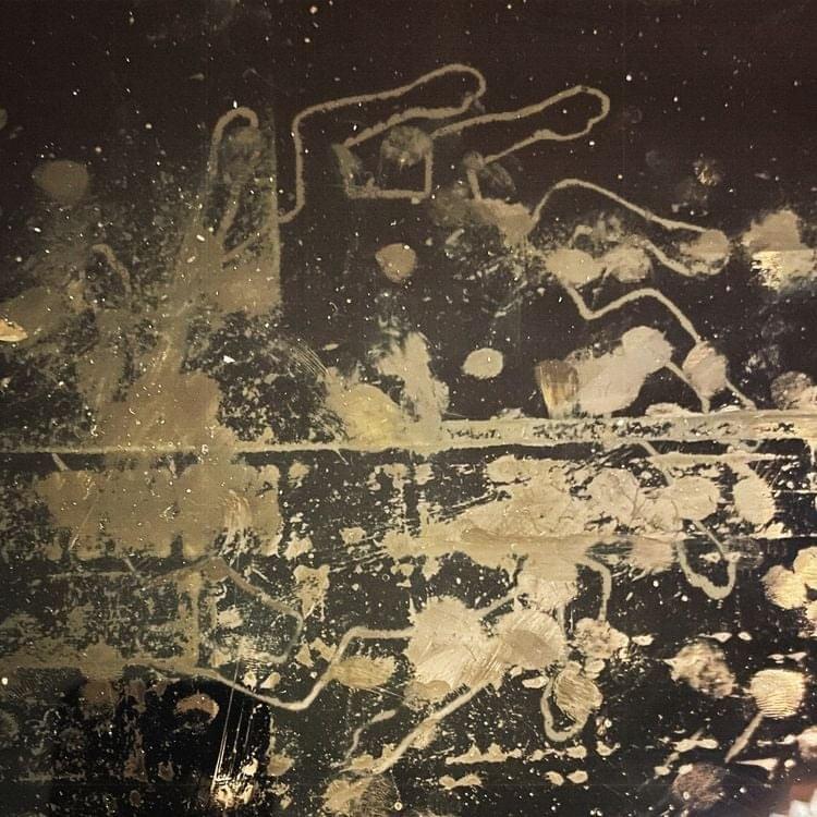 Album cover art for "Dirty Dog" by JMSN
