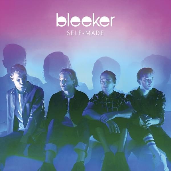 Problems by Bleeker