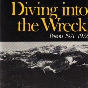 Album cover art for "Diving into the Wreck" by Adrienne Rich