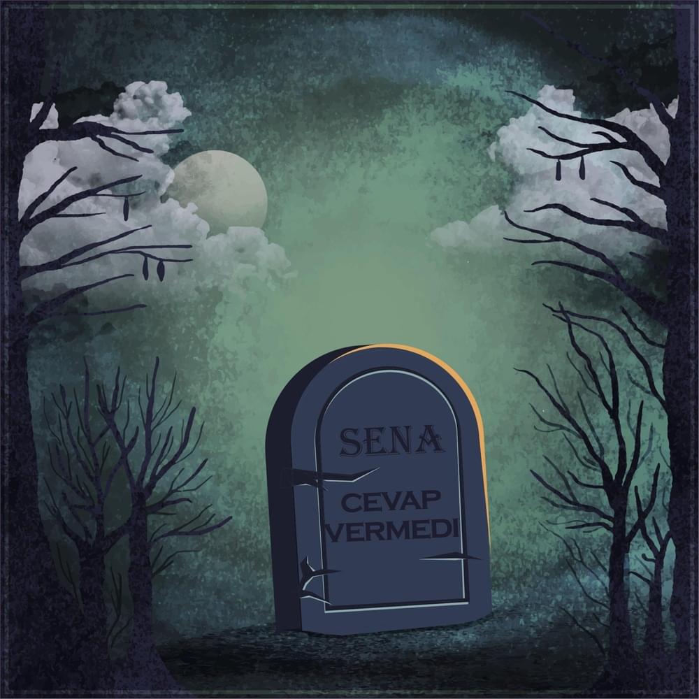 Cover image for Cevap Vermedi