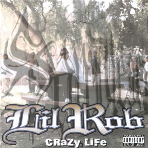 Cover image for Crazy Life