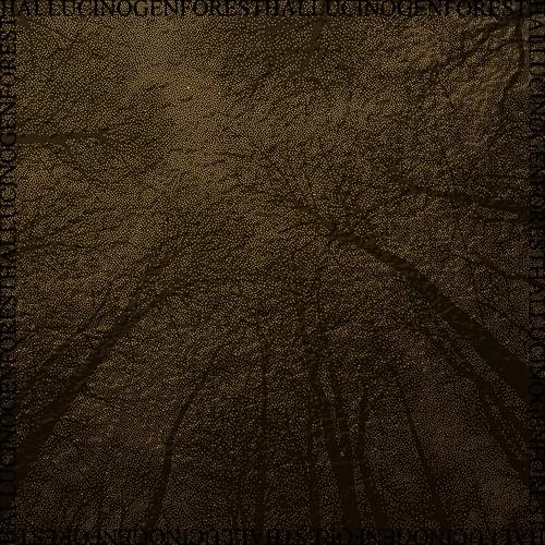 Cover image for Hallucinogen Forest Mixxx