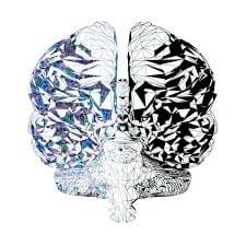 Cover image for Dual-Brained 1