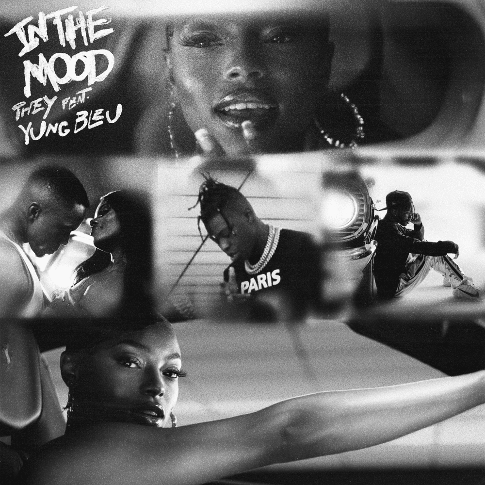 Album cover art for "In The Mood" by THEY. & Yung Bleu