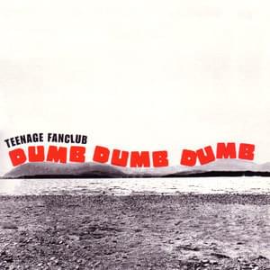 Album cover art for "Dumb Dumb Dumb" by Teenage Fanclub
