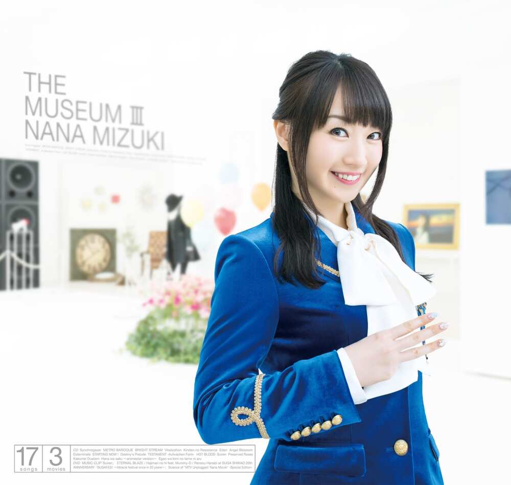 Cover image for THE MUSEUM III 